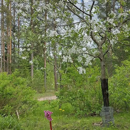 Hyryntie 33 As 3 Apartamento Hyrynsalmi